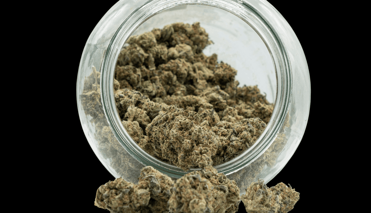 Cannabisblüten in einem Glas